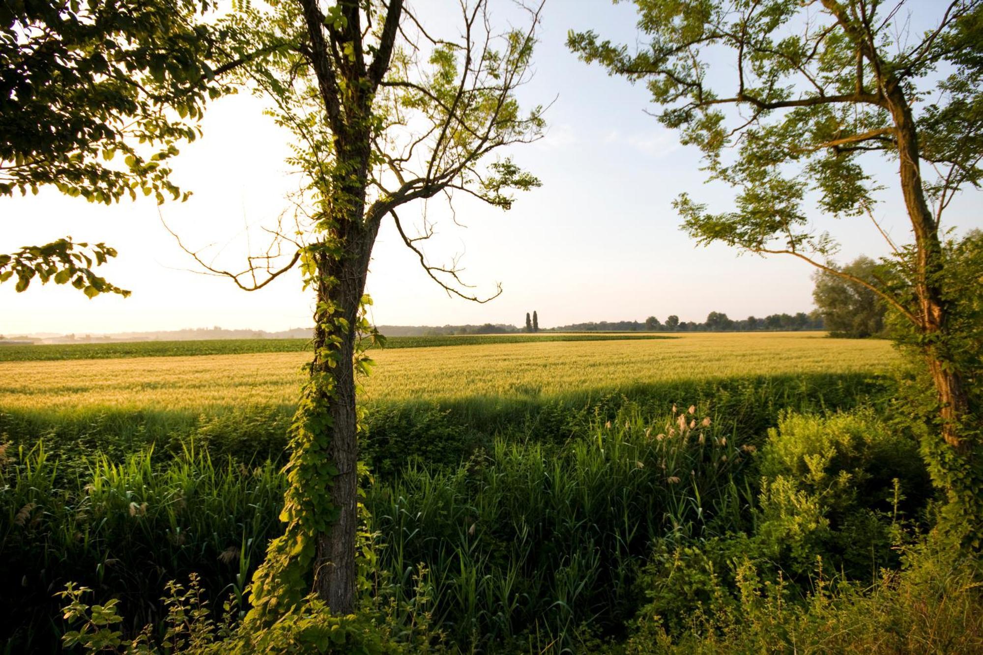 Agriturismo Cascina Roveri Монцамбано Екстериор снимка